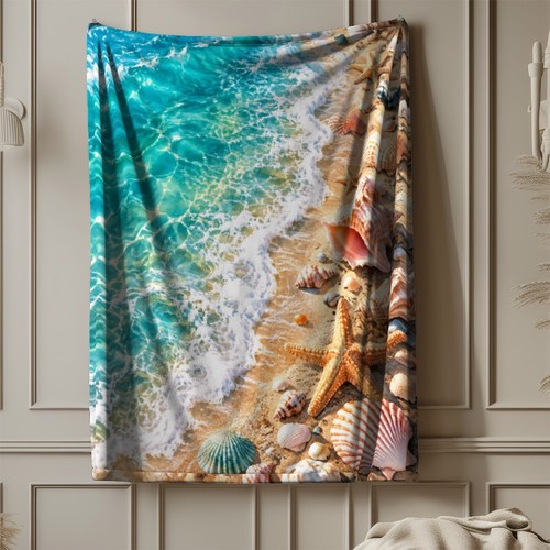 Seashell starfish shoreline - shoreline, 2
