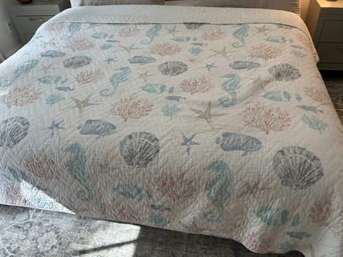 Ocean seashells tropical white - seashells,